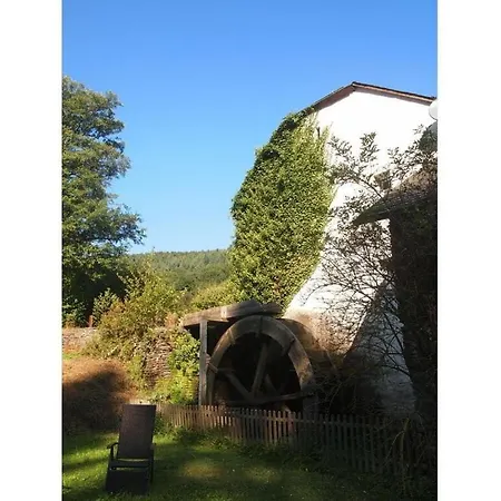 Romantische Molen Schuur Huisdieren Welkom