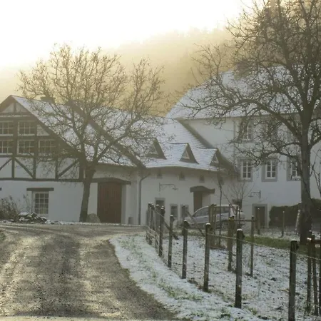 Feriehus Romantische Molen Schuur Huisdieren Welkom